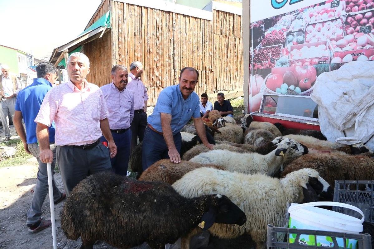Varto\'da Kurbanlık Satan Vatandaşların Hayvan Pazarı Talebi