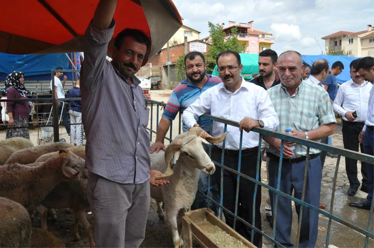 Cahan, Kurban Pazarını Ziyaret Etti