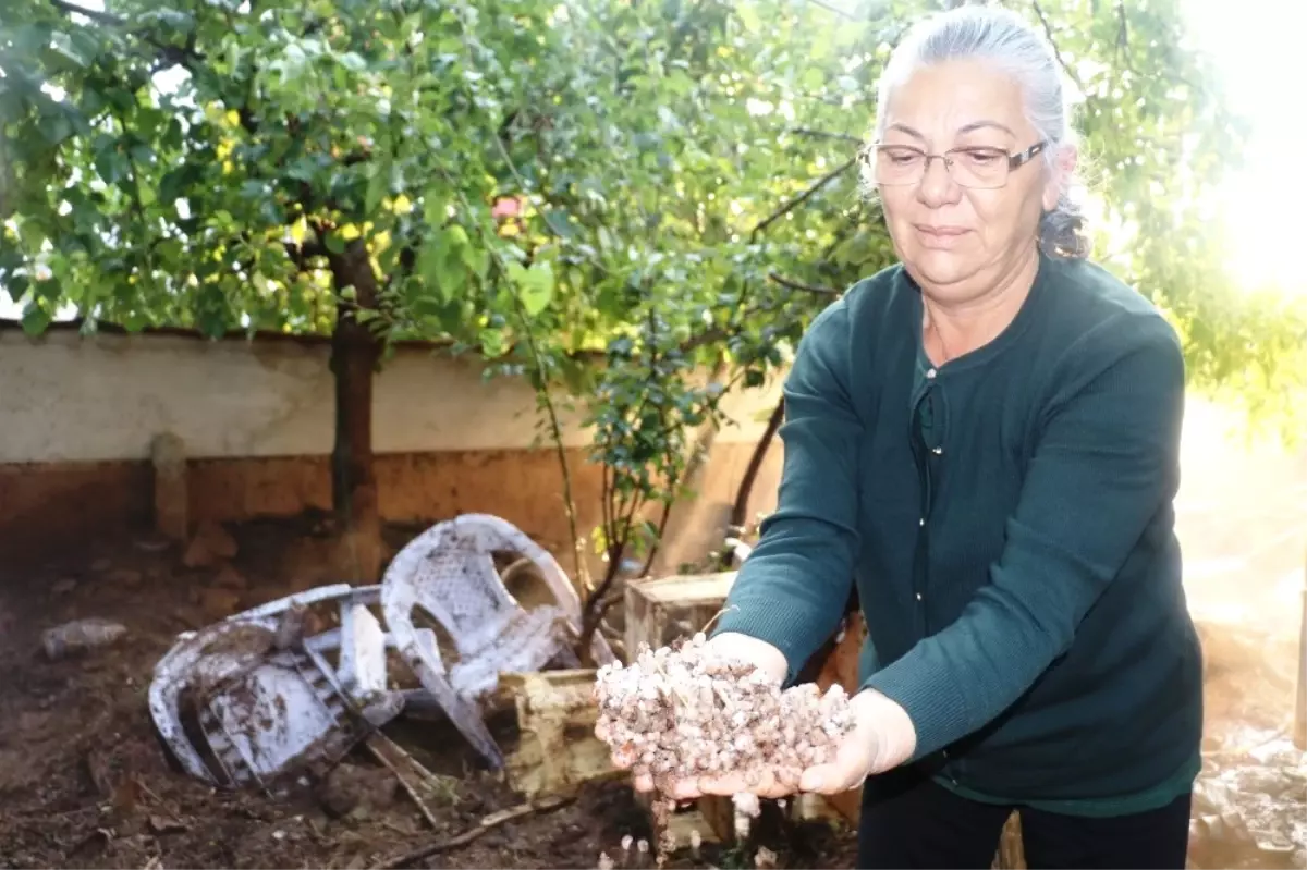 Denizli\'de Felaketin Boyutu Gündüz Ortaya Çıktı