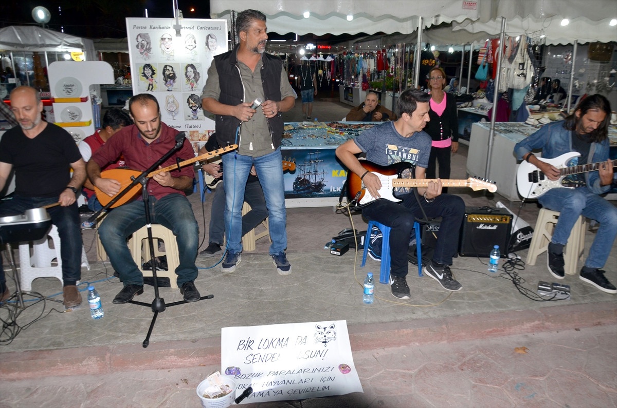 Genç Müzisyenler Sokak Hayvanları İçin Yardım Topladı