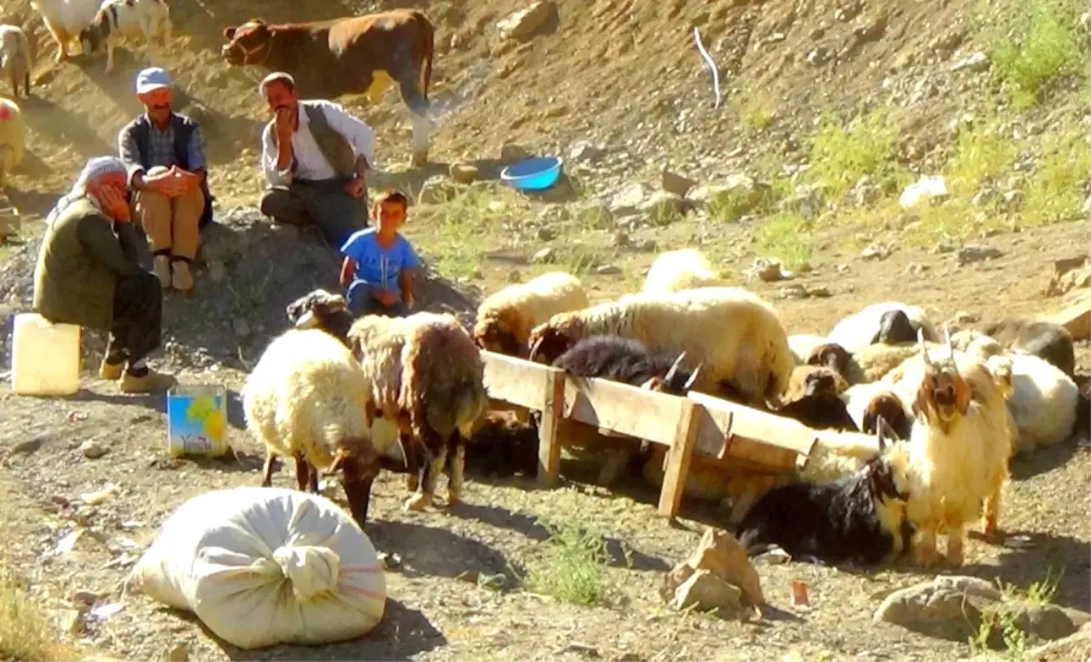 Hakkari\'de Bu Bayram da Yüzler Gülmedi