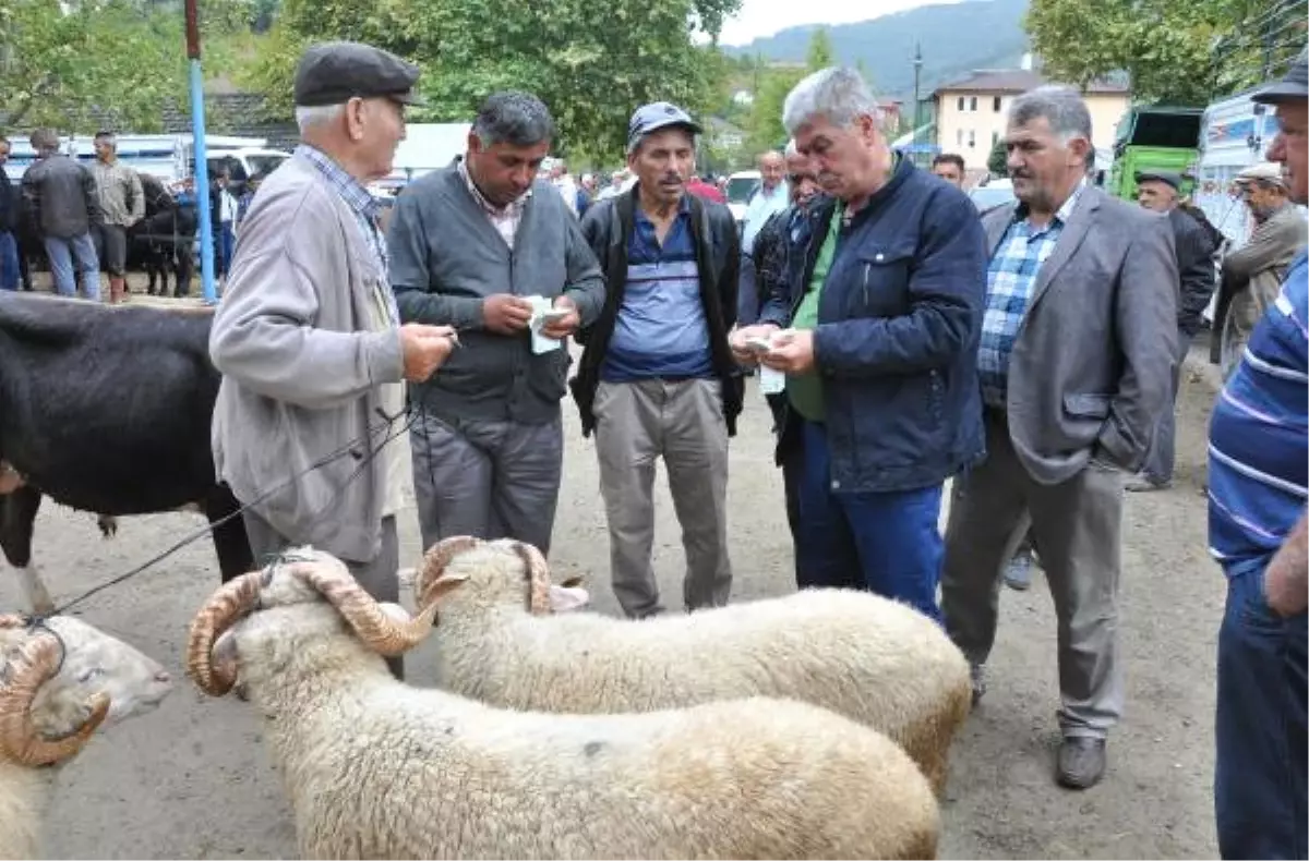 Hayvan Pazarında Arefe Hareketliliği