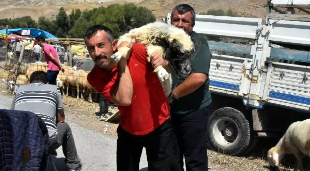 Kurban Pazarında Arife Günü Hareketliliği