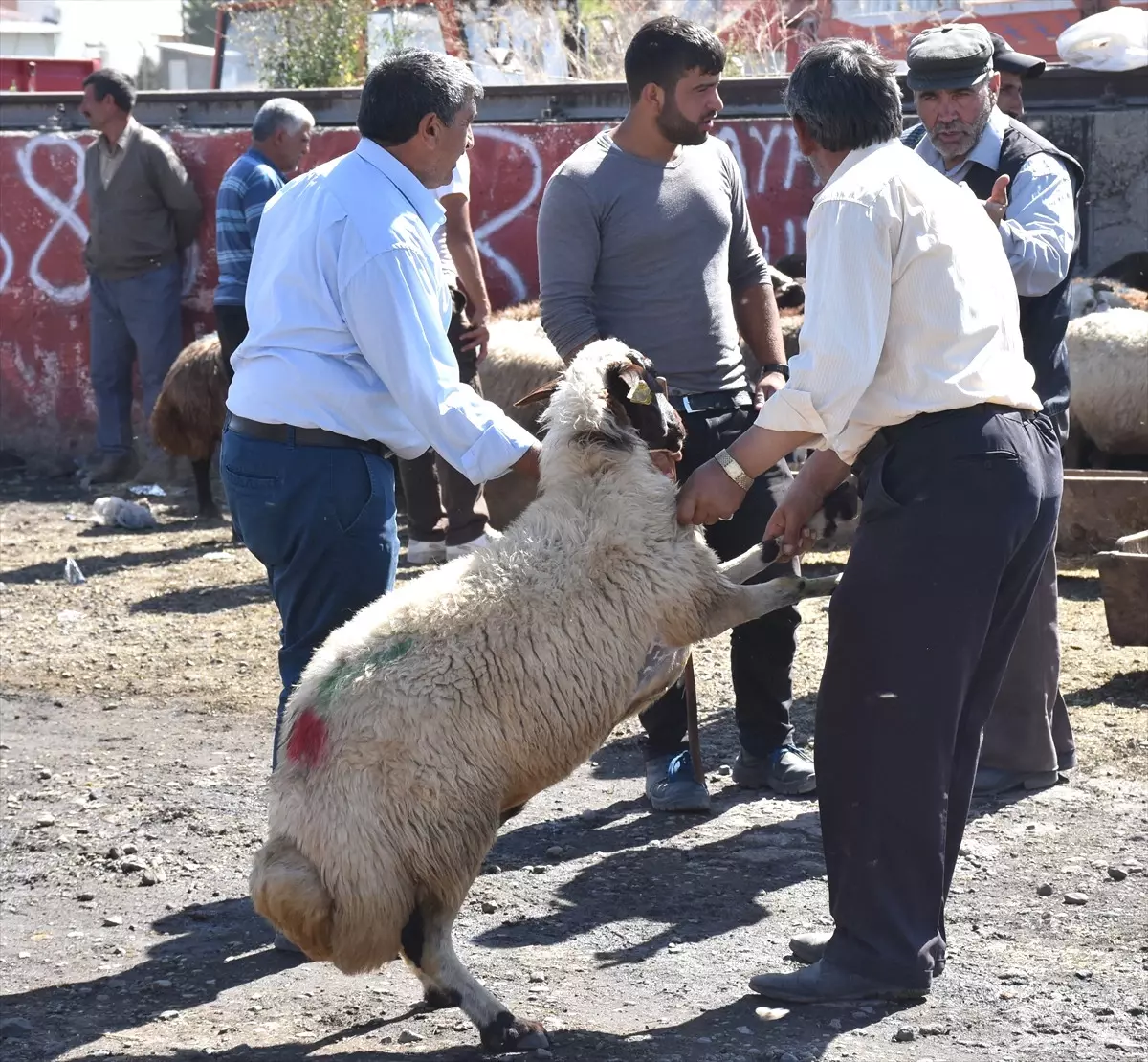 Kurban Pazarlarında Arife Yoğunluğu