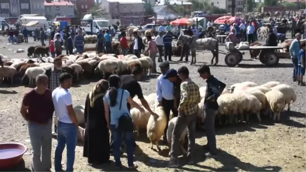 Kurban Pazarlarında Arife Yoğunluğu - Kars