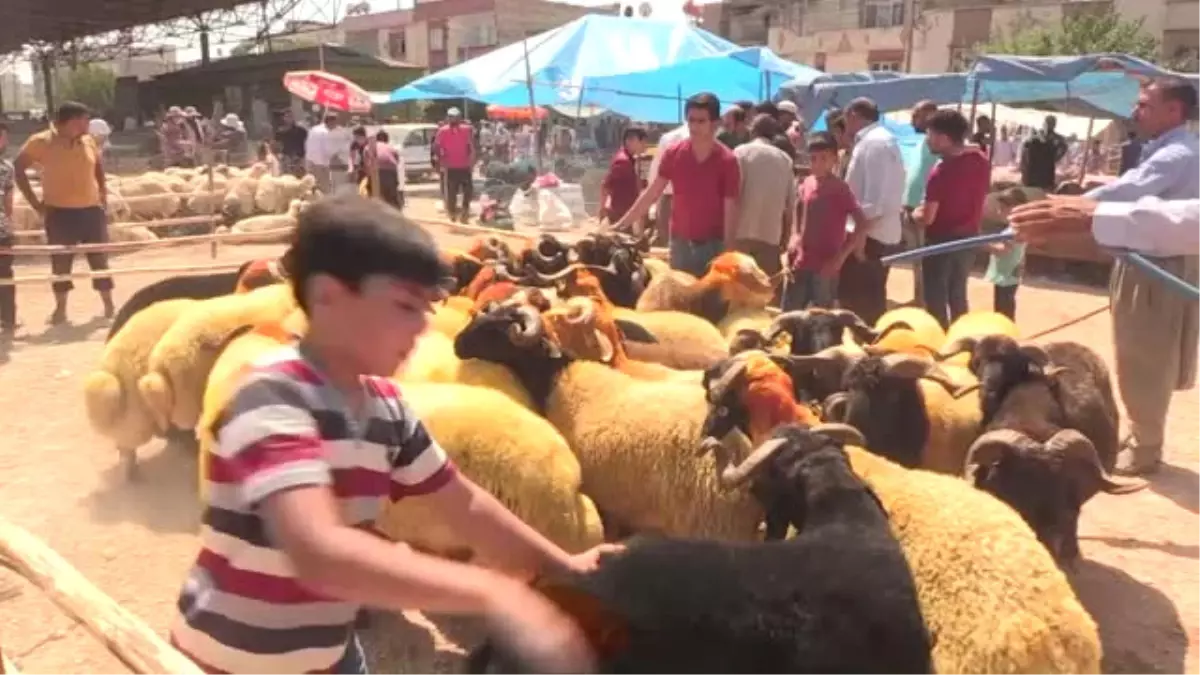 Kurban Pazarlarında Yoğunluk