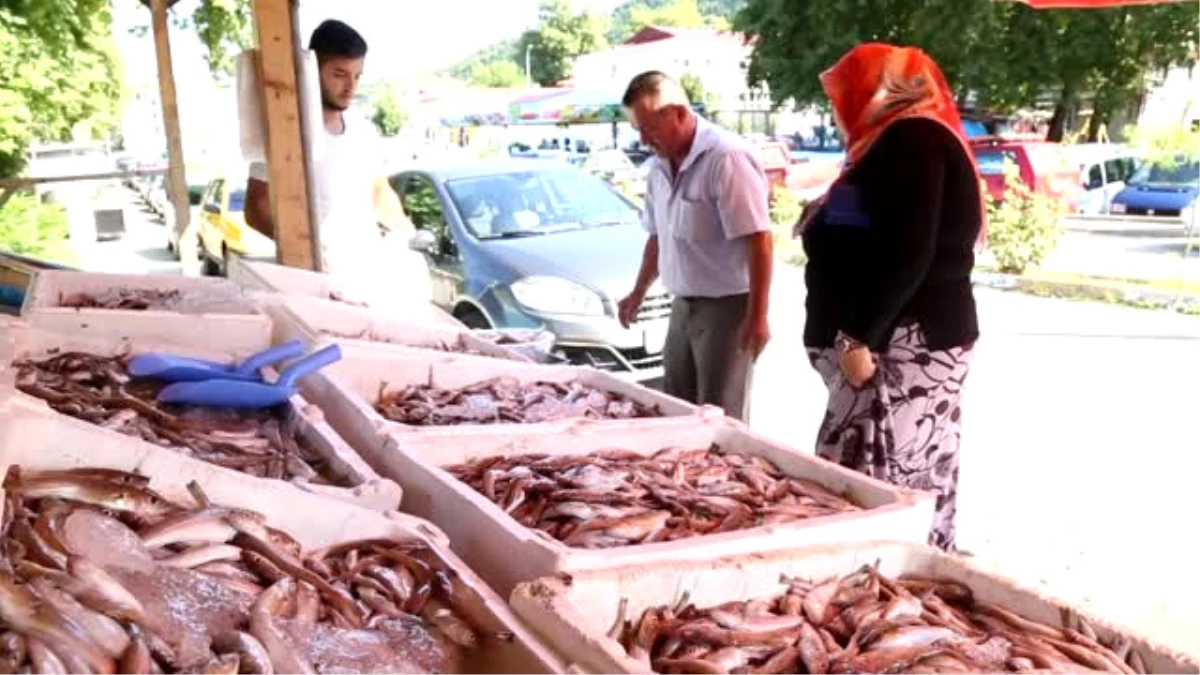 Türkiye\'de Balık Tüketimi Dünyanın Gerisinde