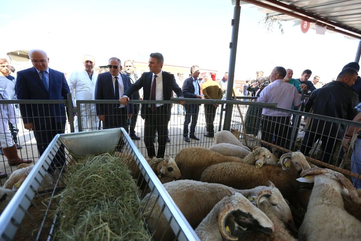 Vali ve Belediye Başkanından Hayvan Pazarına Çıkarma