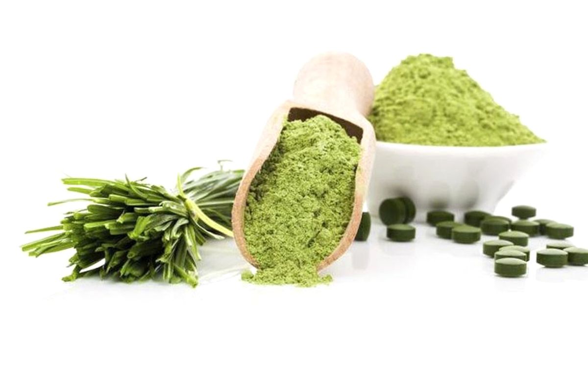 Vitamin ve Protein Deposu Su Yosunları"
