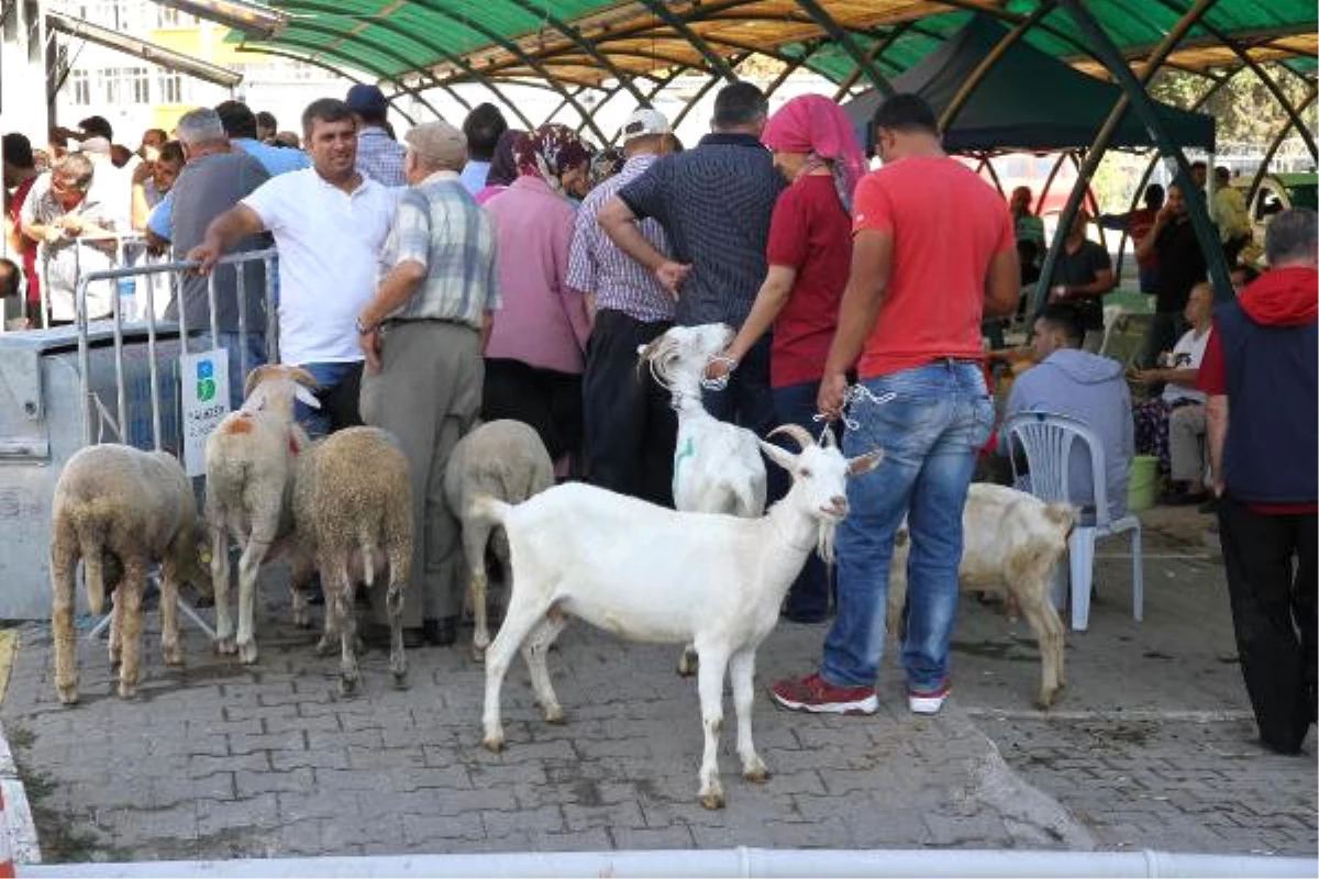 Balıkesirliler Mobil Kesimhaneleri Tercih Etti