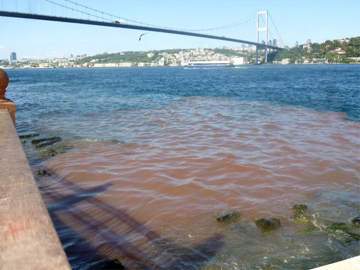 İstanbul Boğazı Kana Büründü