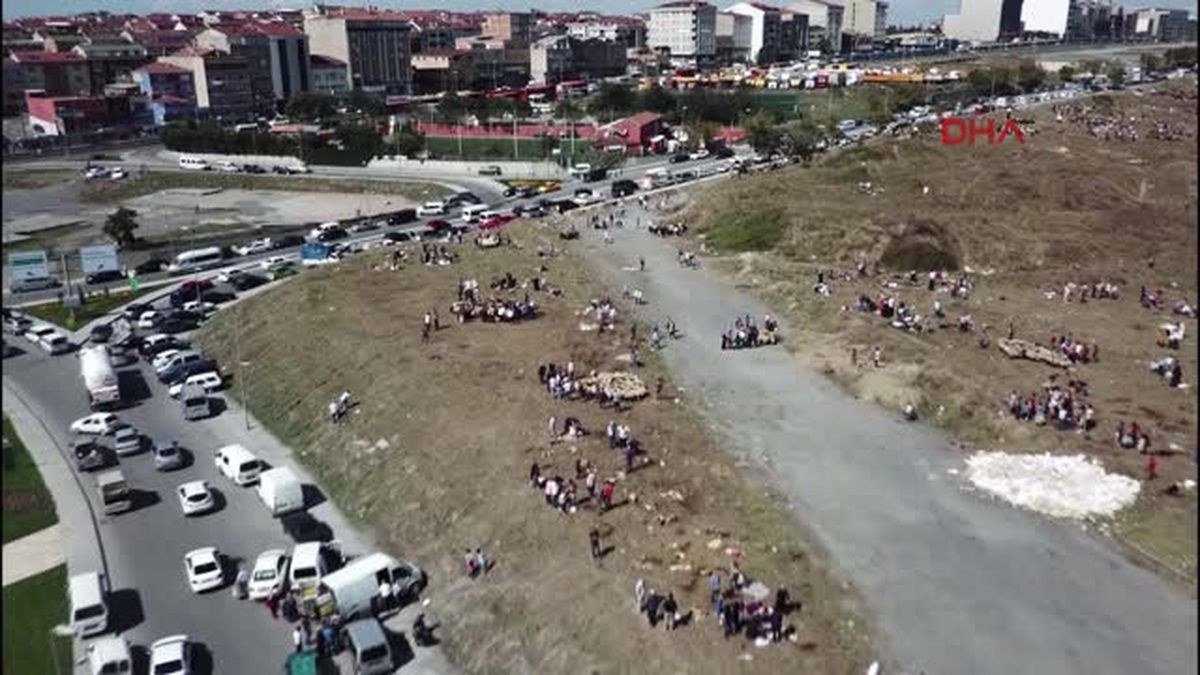 İstanbul\'da Kaçak Kurban Kesimleri
