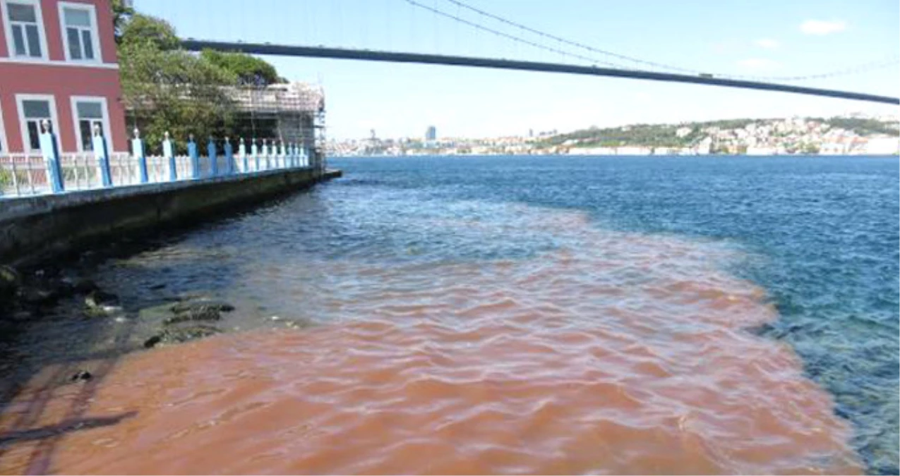 İstanbul\'da Manzara Bu Yıl da Değişmedi! Boğaz Kan Gölüne Döndü