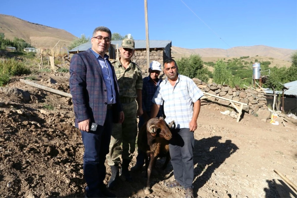 Kaymakam Çetin\'den Şehit Ailelerine Kurbanlık Koyun Yardımı