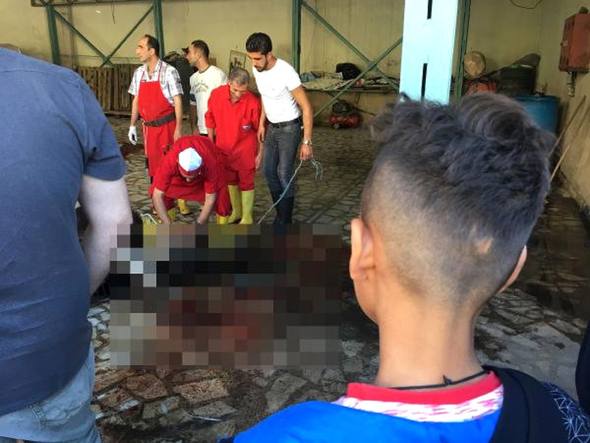Kurbanlıkları Açık Alanlarda Oto Yıkamacılarda, Çocukların Gözleri Önünde Kestiler