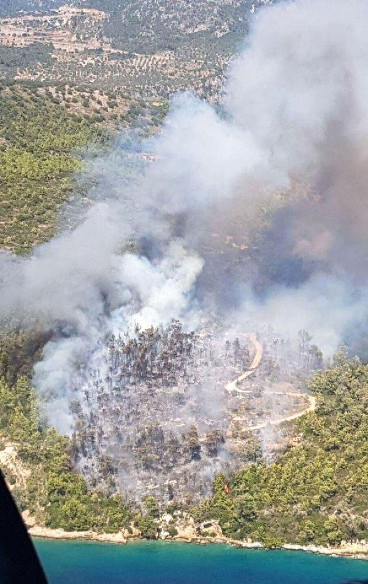 Muğla\'da Orman Yangını, 8 Hemtar Alan Kül Oldu (2) - Yeniden