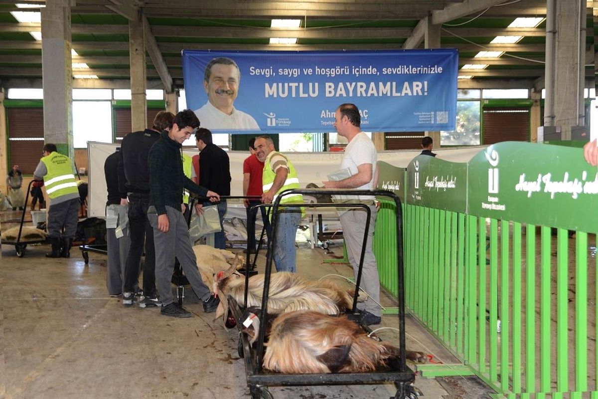 Vatandaş Bayramda Tepebaşı\'nda Rahat Etti