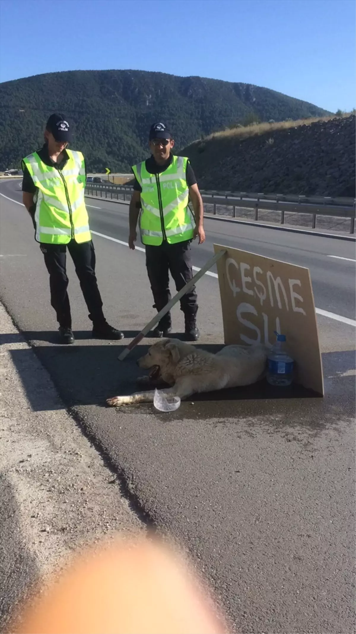 Yaralı Köpeğe Polisler Sahip Çıktı