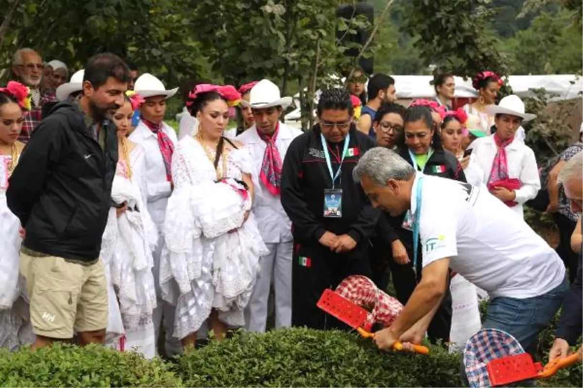 Arhavi\'de Bayram ve Festival Coşkusu