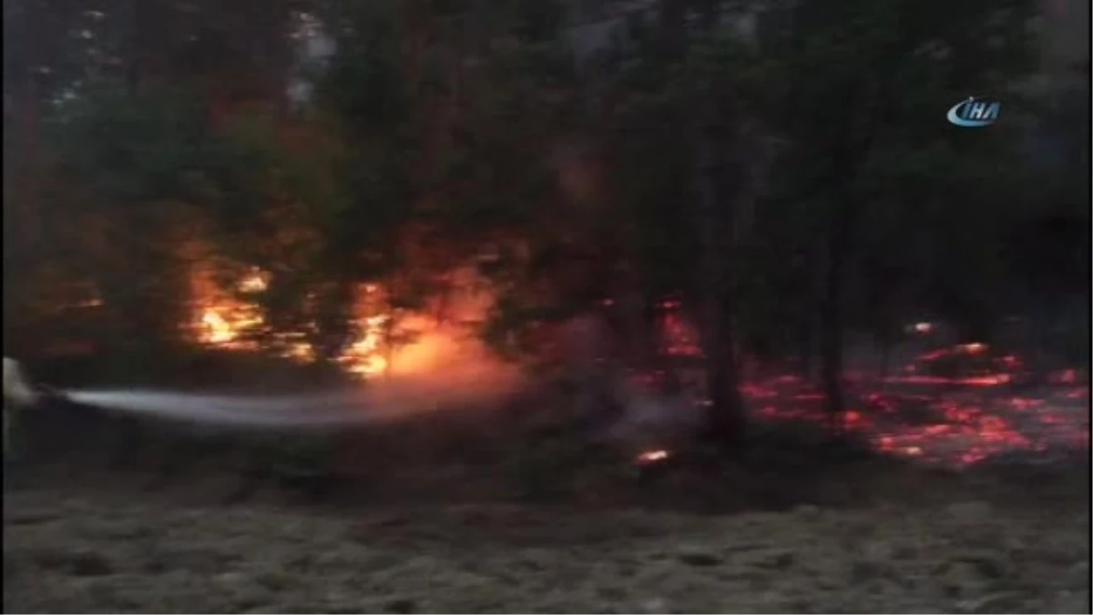 Bolu\'da Orman Yangını