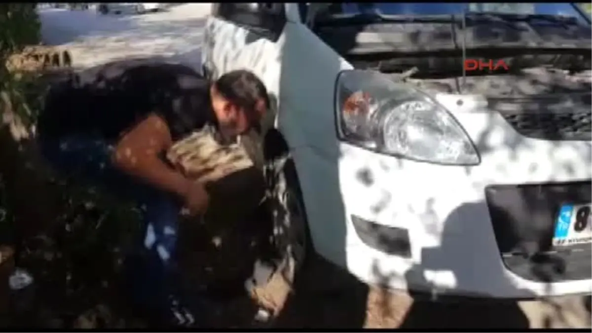 Düzce Gazeteciler, Otomobilde Mahsur Kalan Kediyi Kurtardı