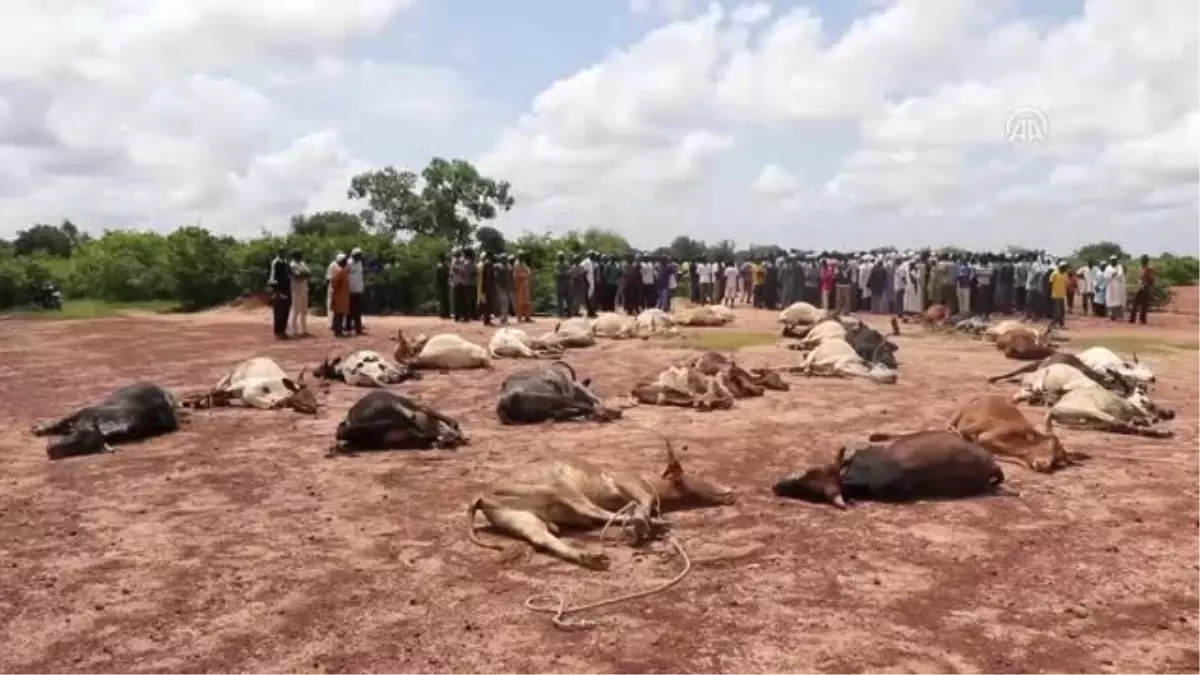 Kurban Bayramı - Burkina Faso