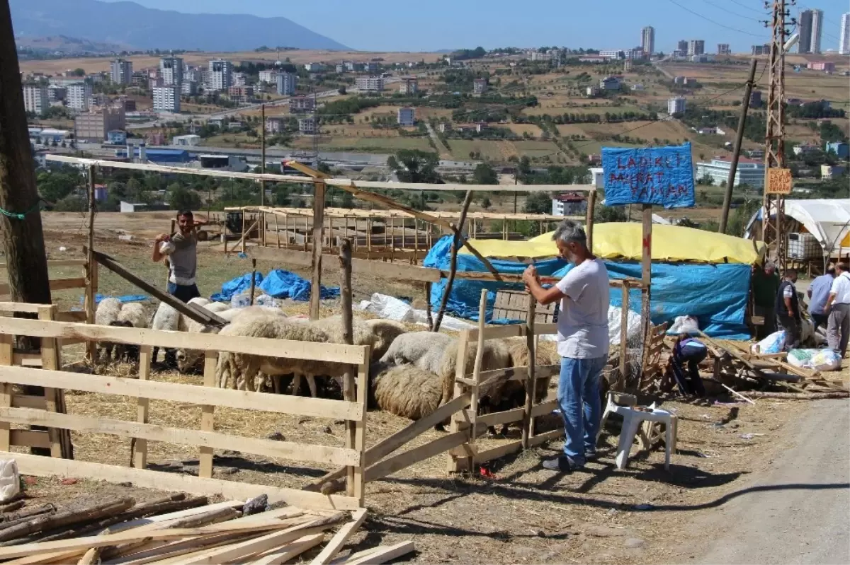 Kurban Pazarlarında Son Gün Telaşı