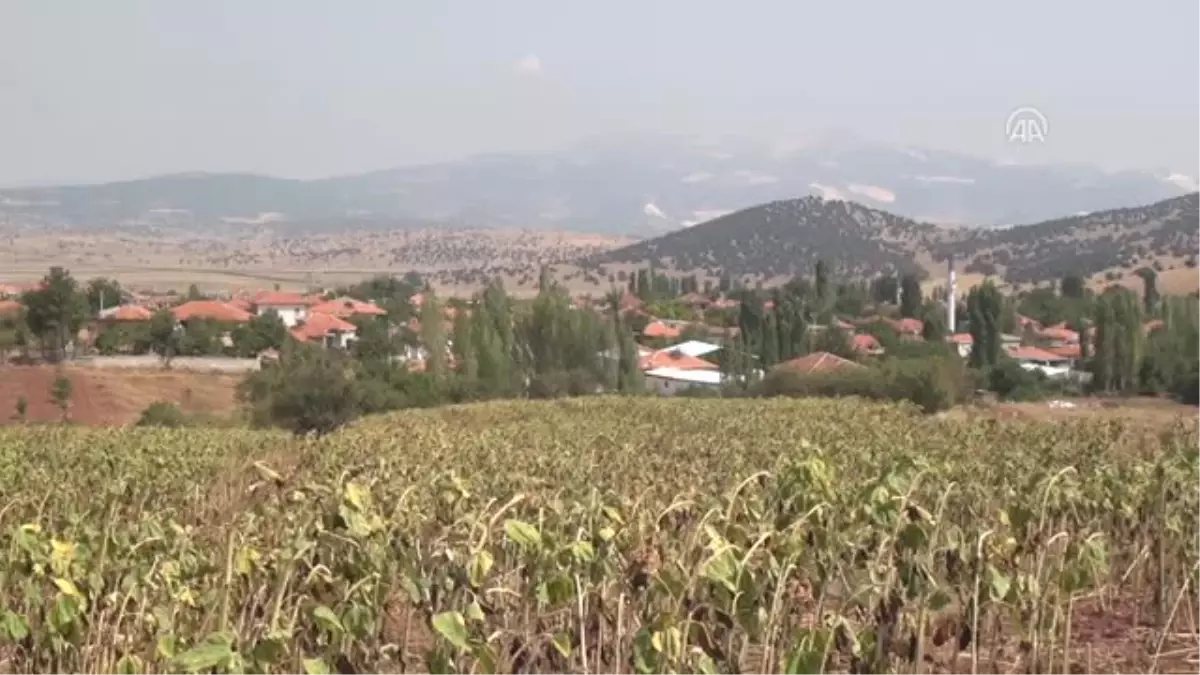 Mal Varlığım Askerlerime Helalühoş Olsun"