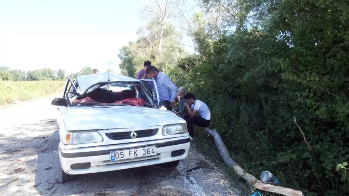 Sinop\'ta Otomobilin Üzerine Ağaç Düştü: 1 Ölü, 2 Yaralı