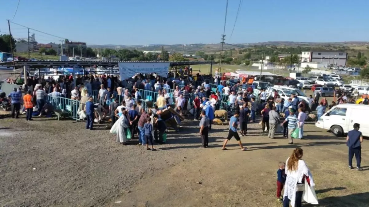 Zabıta, Temizlik ve Sağlık İşleri Ekipleri Kurbanlık Satış Noktasında Hizmete Devam Ediyor