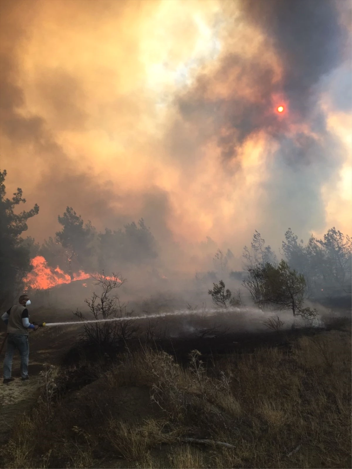 Bolu\'daki Orman Yangını