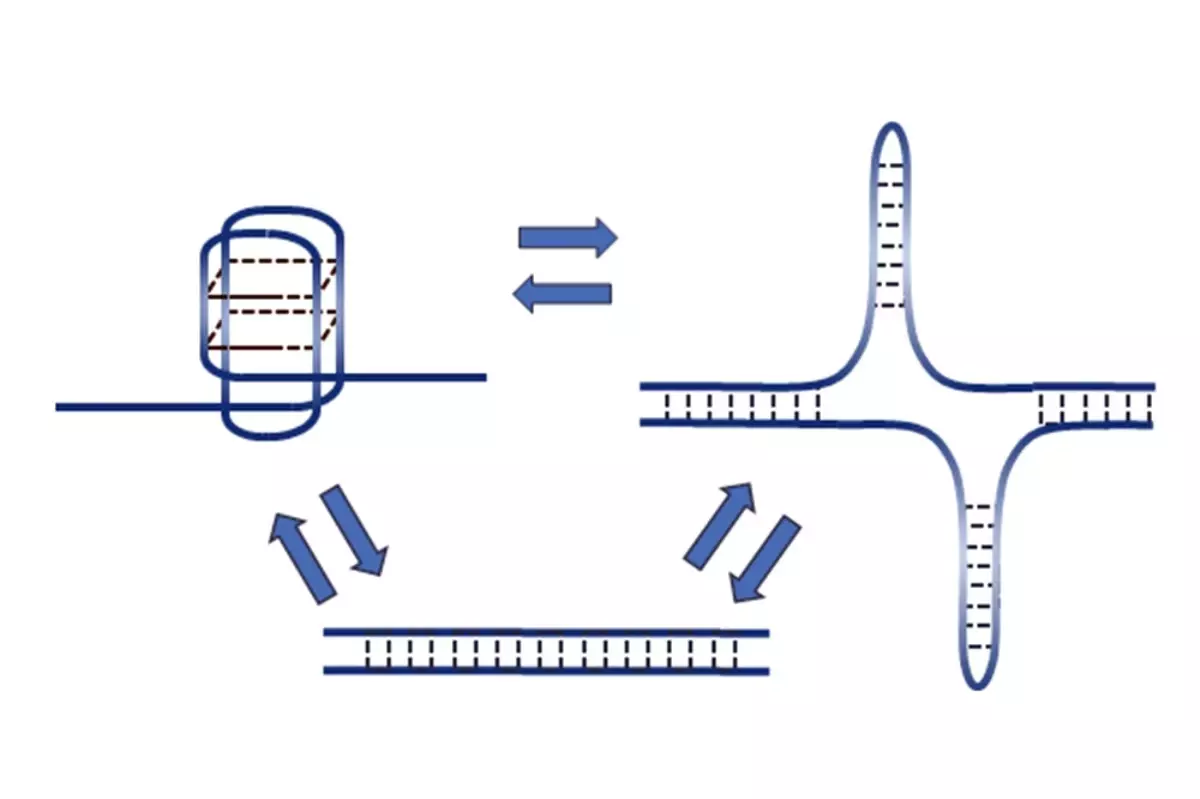 Dna Dizilimlerinde Yeni Keşif