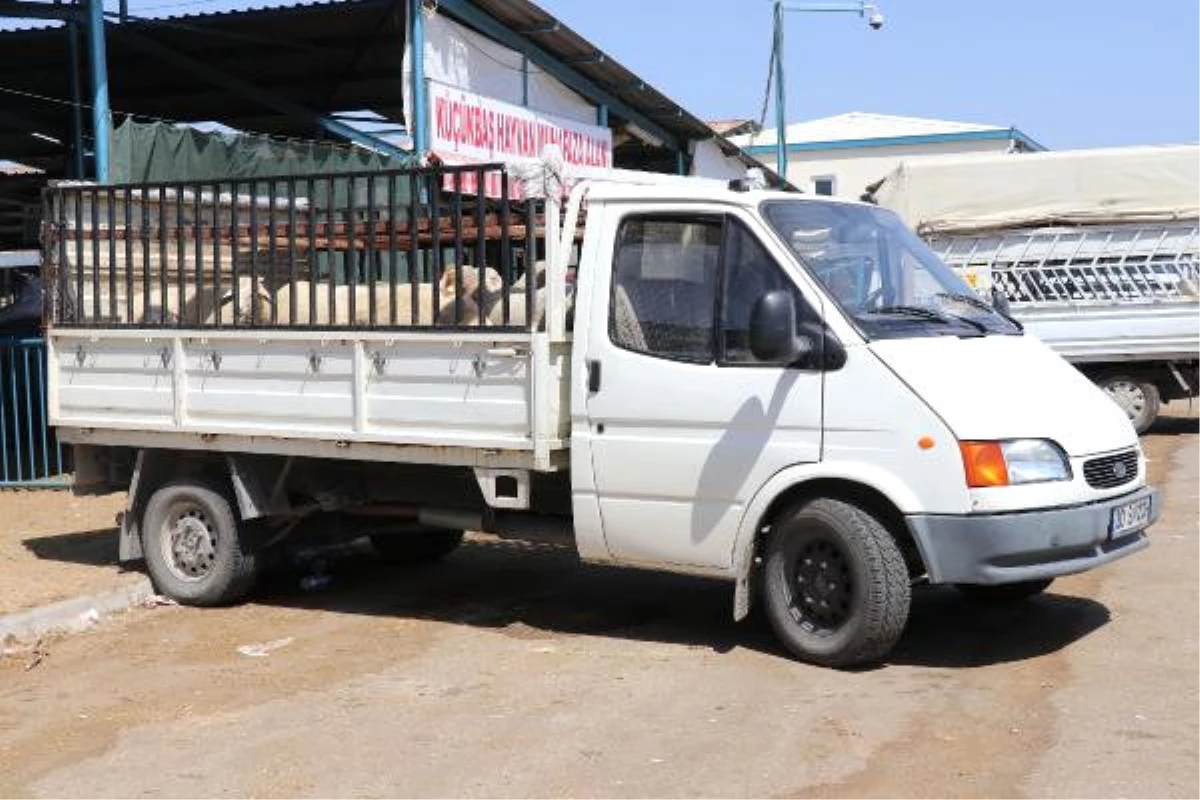 Kurban Satıcıları: Denizli Horozu Kurbanlıktan Pahalı Hale Geldi