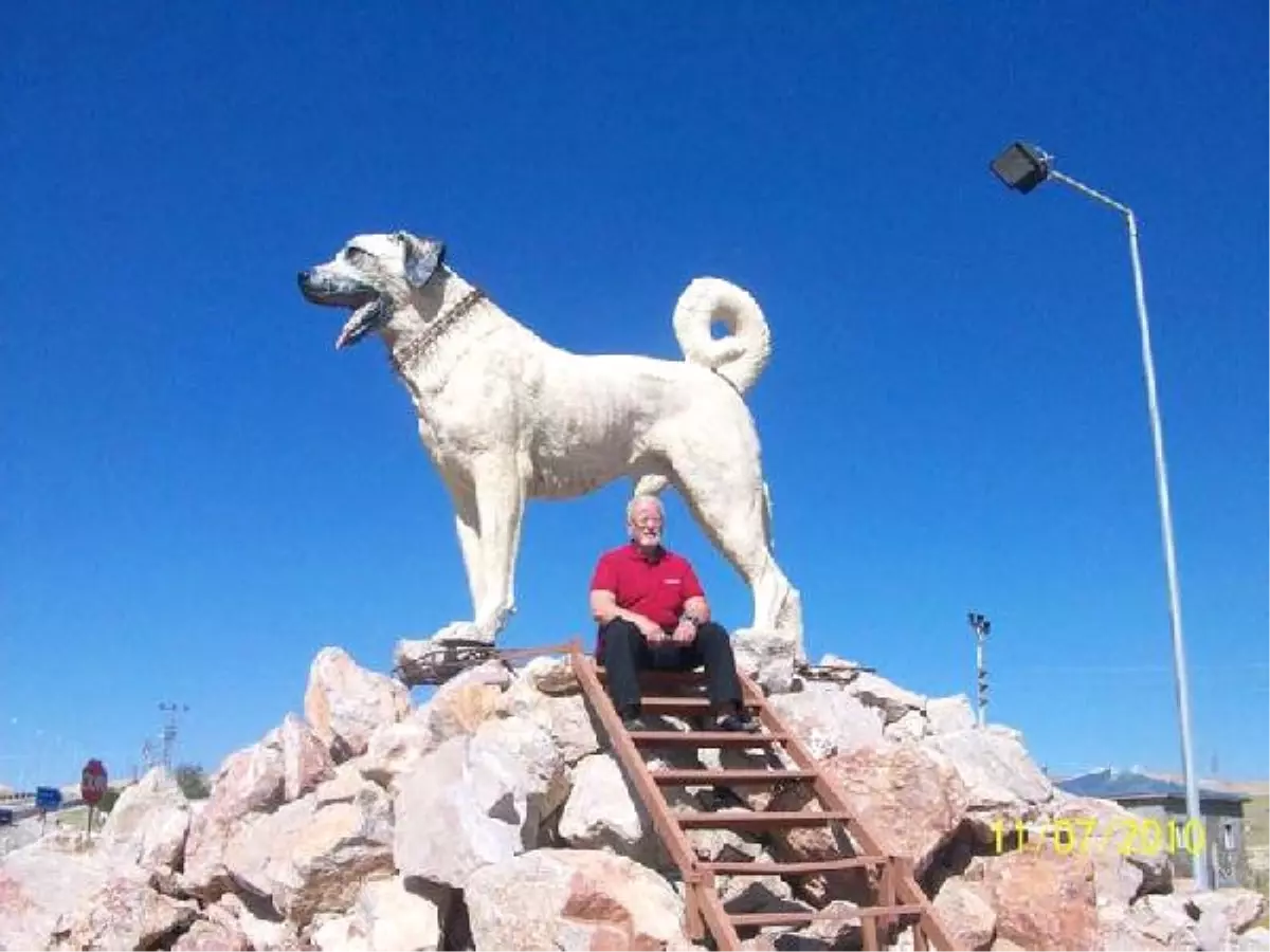 Milli Köpek Kangal Görev Başında