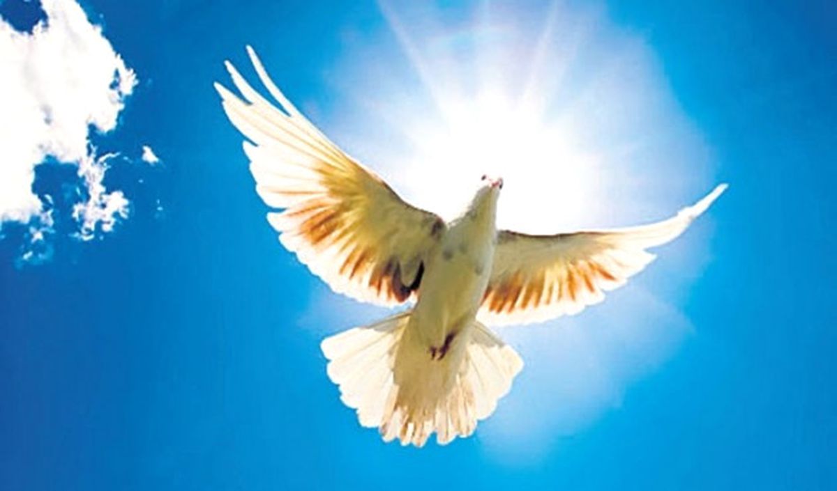 Talih Kuşu\'ndan 2,7 Milyar Lira Gelir