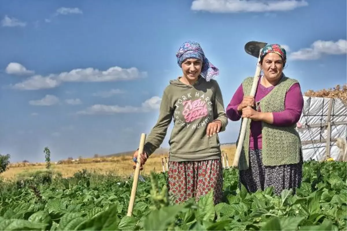 Üniversiteli Kız Kardeşler Tatilde Tarlada