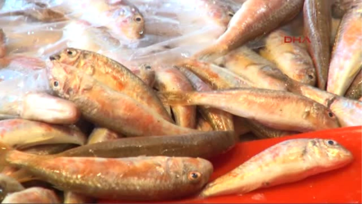 Zonguldak\'ta Sezonun İlk Balıkları Tezgahta
