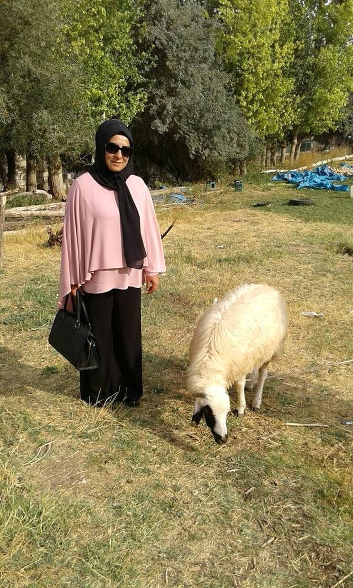 Başkan Koç\'tan Gazi ve Şehit Ailelerine Yardım