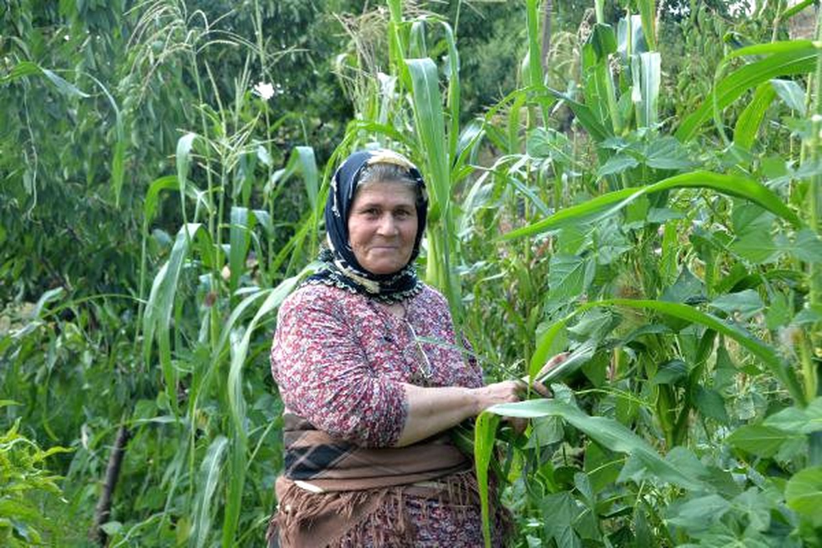 Ders Kitaplarına Konu Ümmiye Koçak: Benim İçin Gurur Verici