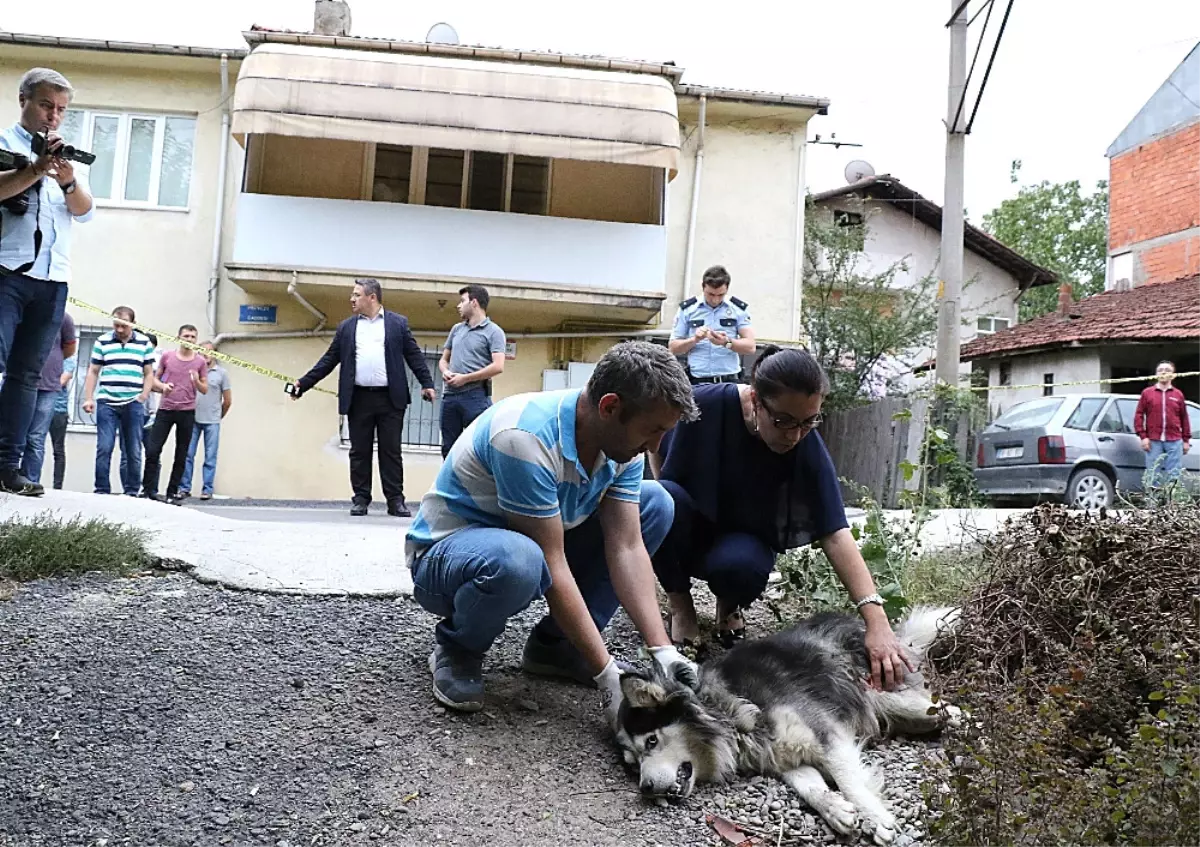 Evinin Karşısına Tuvaletini Yapan Köpeği ve Sahibini Vurdu