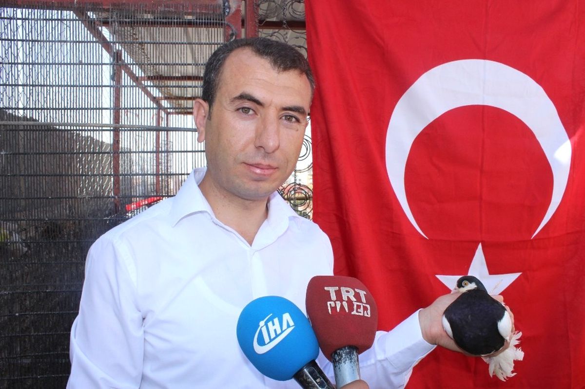 Güvercine Kalp Masajı