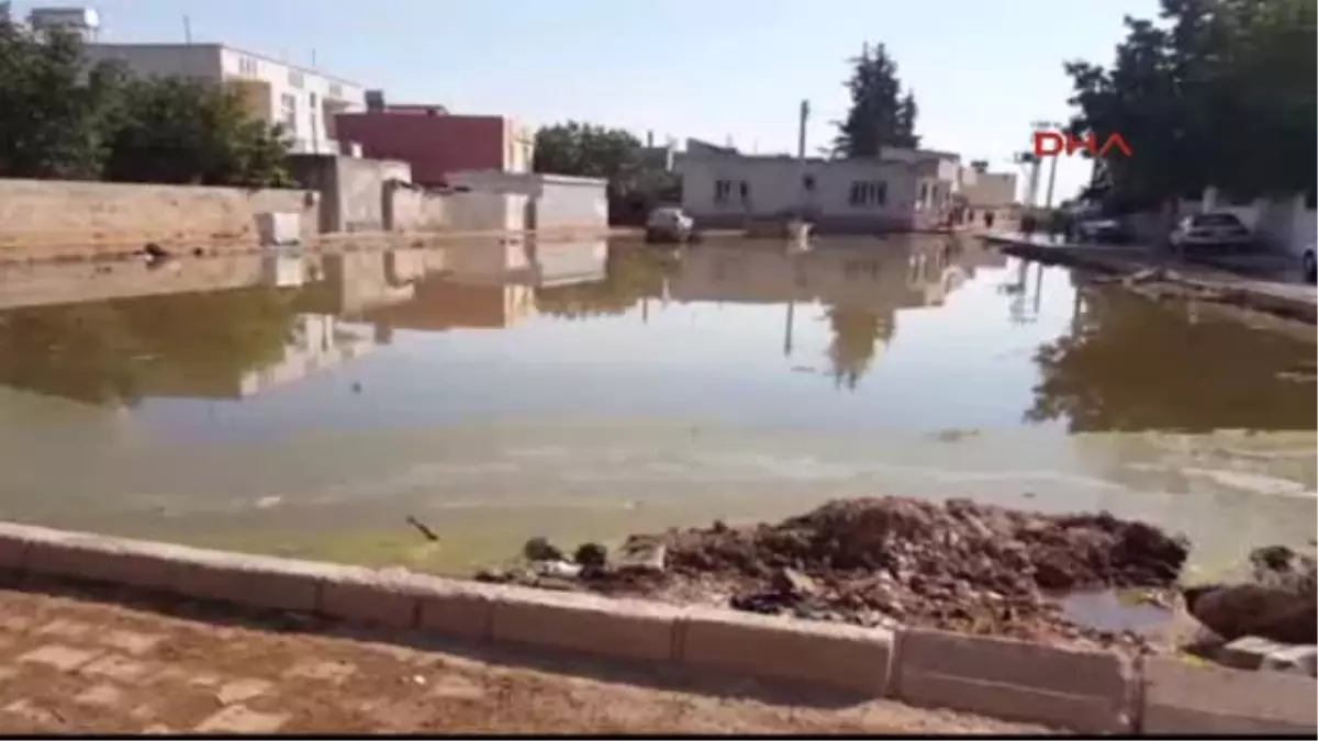 Şanlıurfa Suruç\'ta Taban Suyu Yükseldi, Yolları Su Bastı