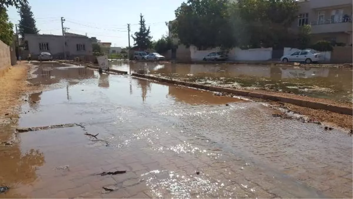 Suruç\'ta Taban Suyu Yükseldi, Yolları Su Bastı