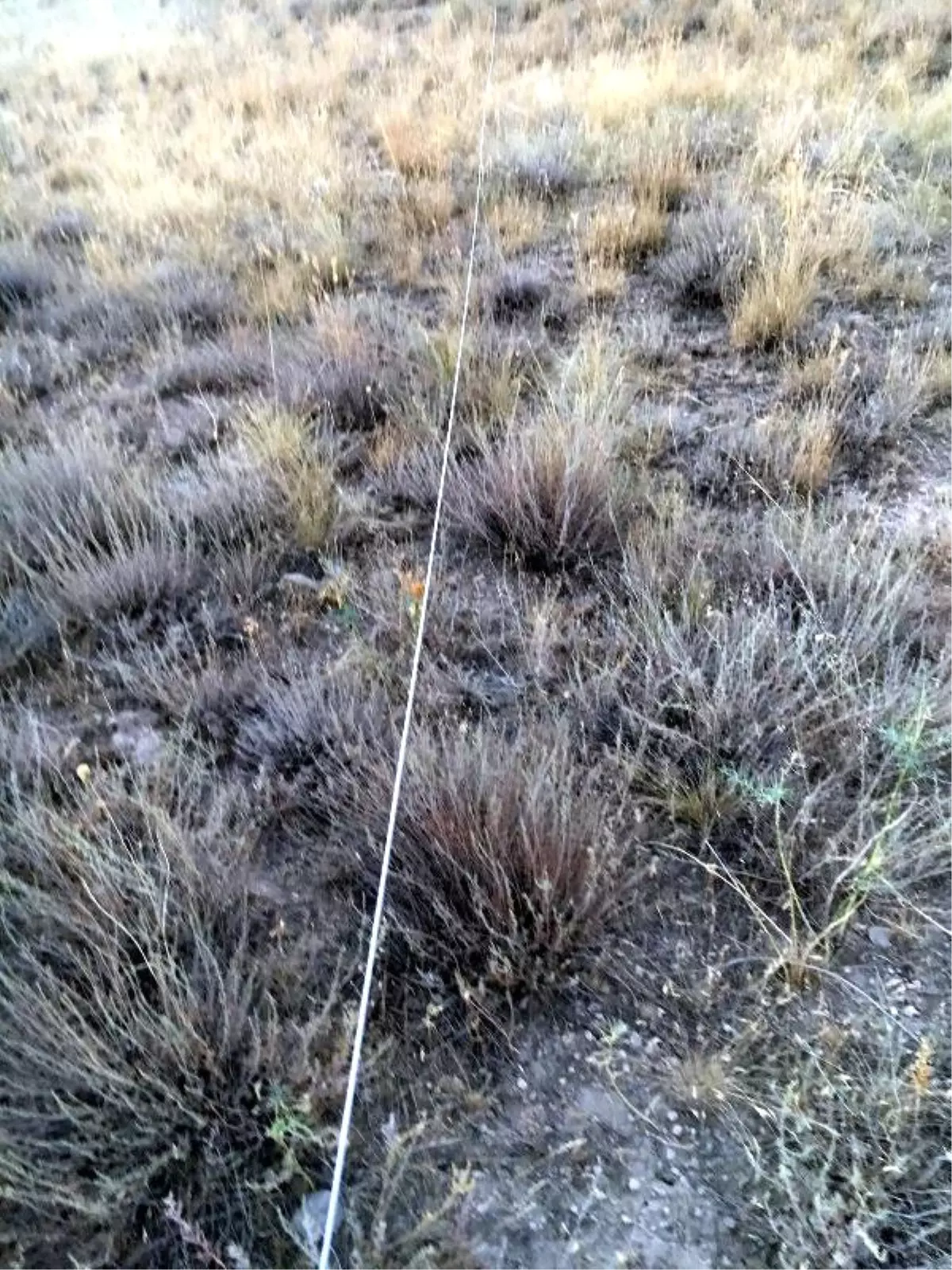 Türkiye-İran Sınırına 3 Kilometre Kablo Döşeyen İranlı 3 Örgüt Üyesi Yakalandı