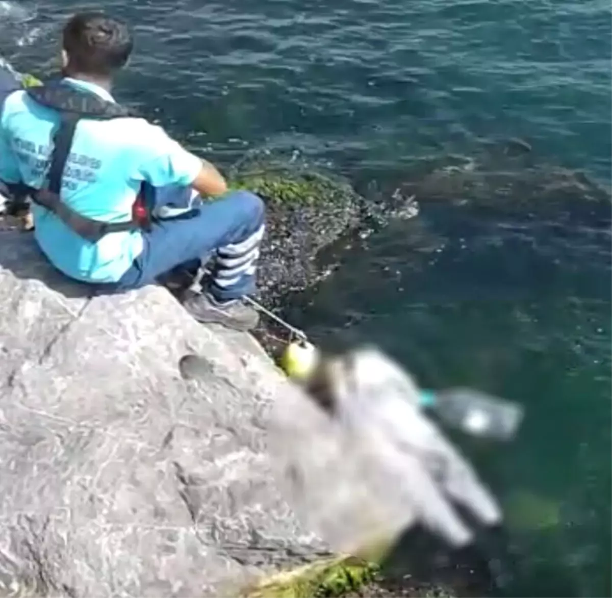 Zeytinburnu Sahilinde Dehşet! Beline 5 Litrelik Şişeler Bağlanmış Ceset Kıyıya Vurdu