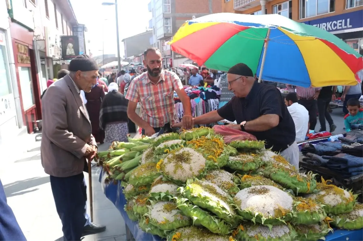 Ağrı\'da Yerli Ayçiçeğine Yoğun İlgi