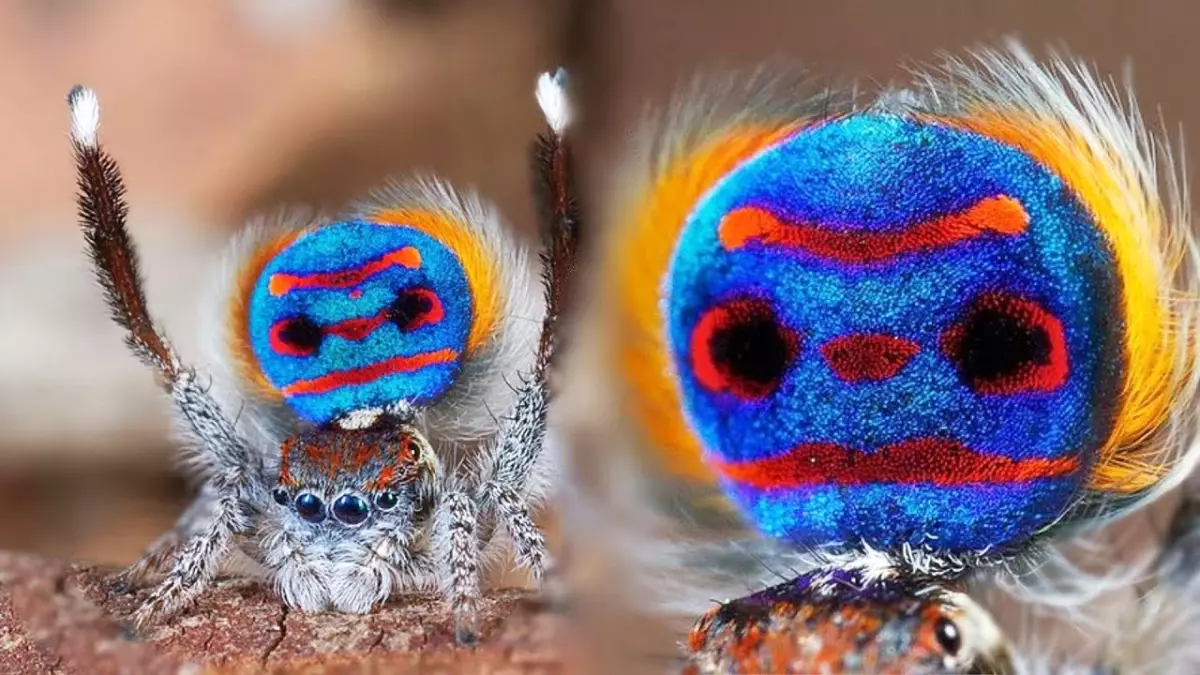 Allah'ın Büyüklüğü ve Yaratması Karşısında Hayran Kalacaksınız (İmanın Güçlenecek)