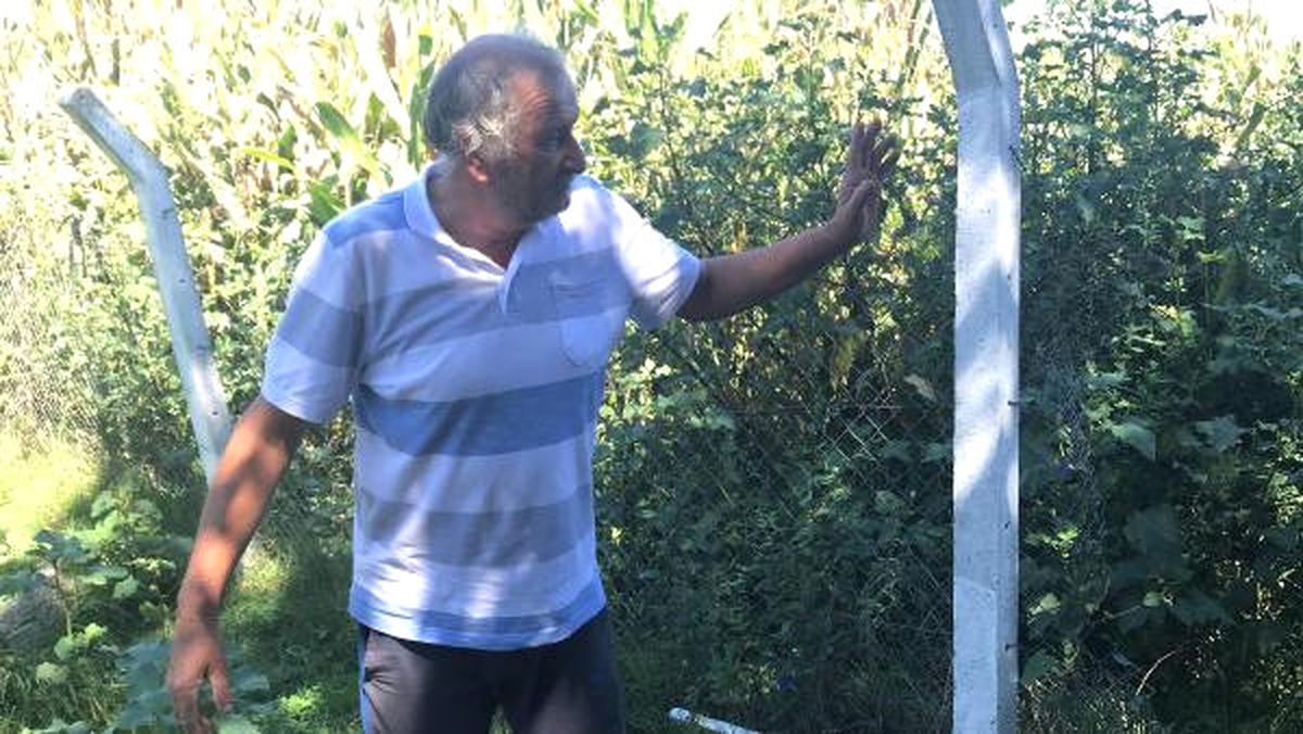 10 Kez Çiftliğe Girip 500 Tavuk Çaldılar