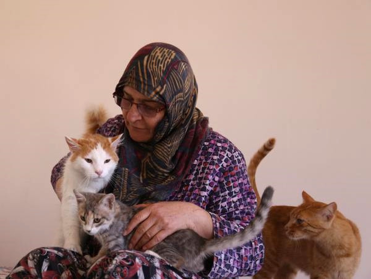 300 Kediyi Sahiplendirdi, 100 Kedinin Bakımını Yapıyor