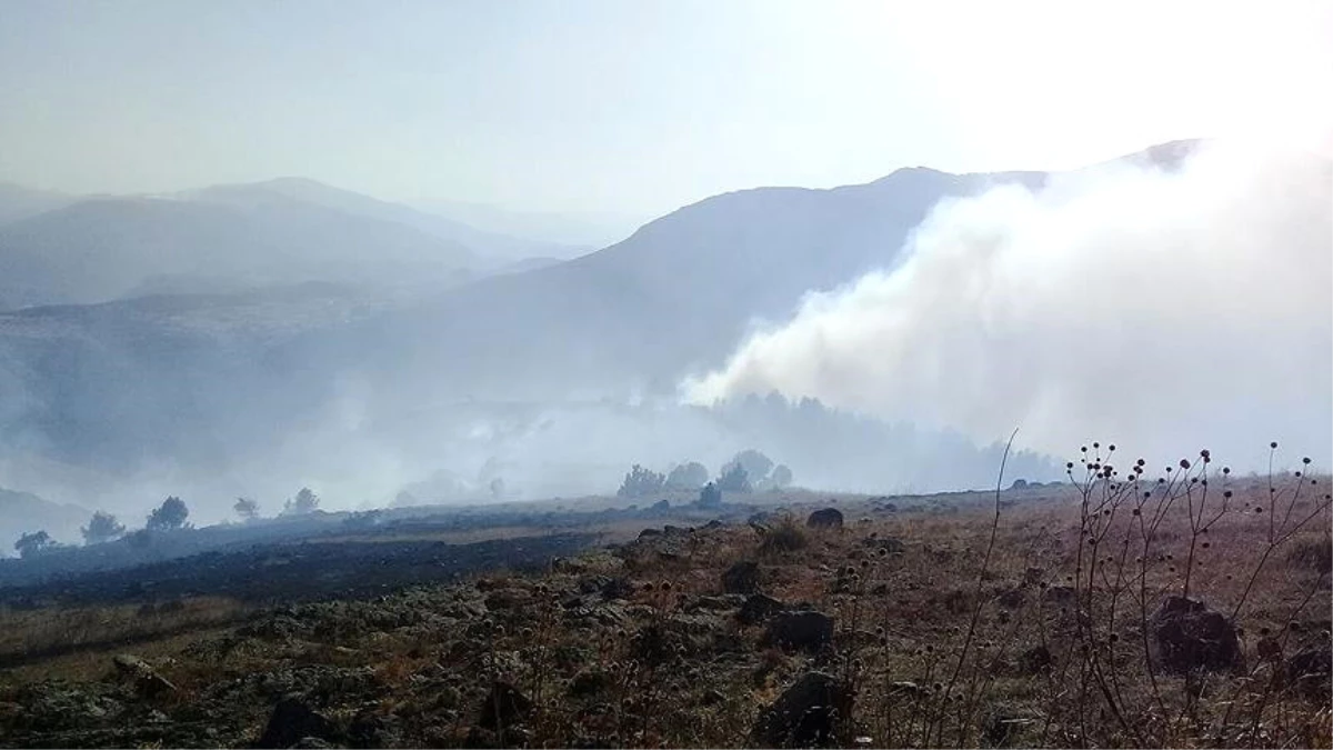 Erzurum\'da Orman Yangını